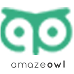 AmazeOwl is an useful extension for product research on Amazon.